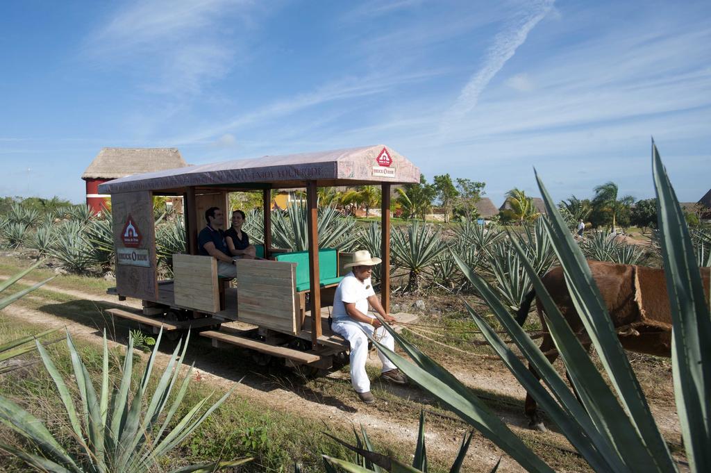 Hacienda Viva Sotuta De Peon Hotel Tecoh Ngoại thất bức ảnh