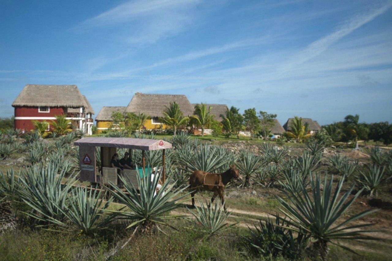 Hacienda Viva Sotuta De Peon Hotel Tecoh Ngoại thất bức ảnh